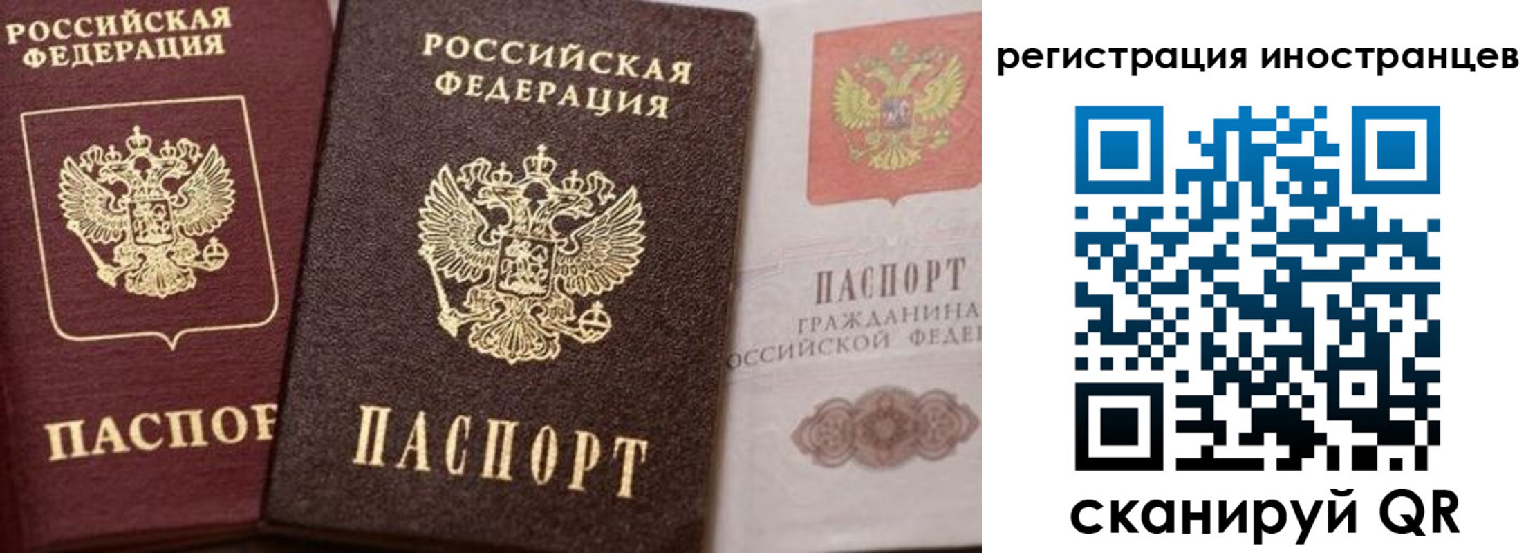 временная регистрация купить в Торжоке